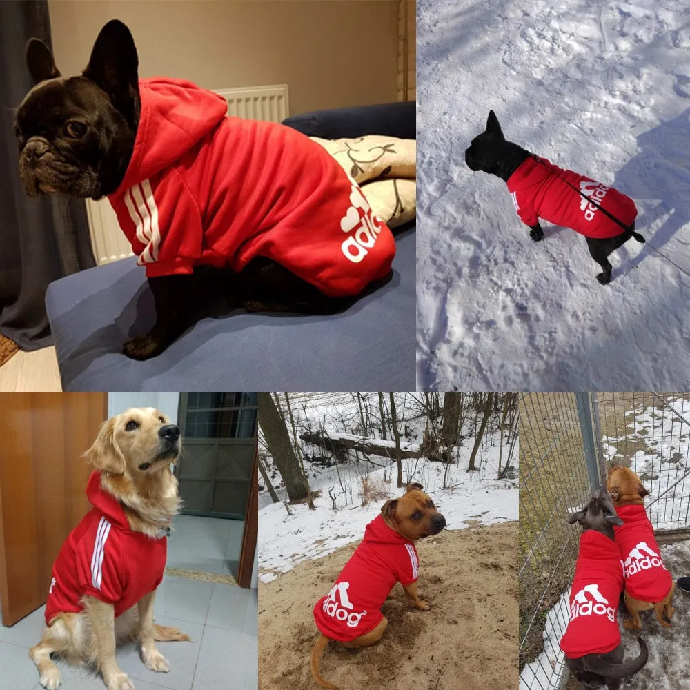 Cool Dog Hoodie